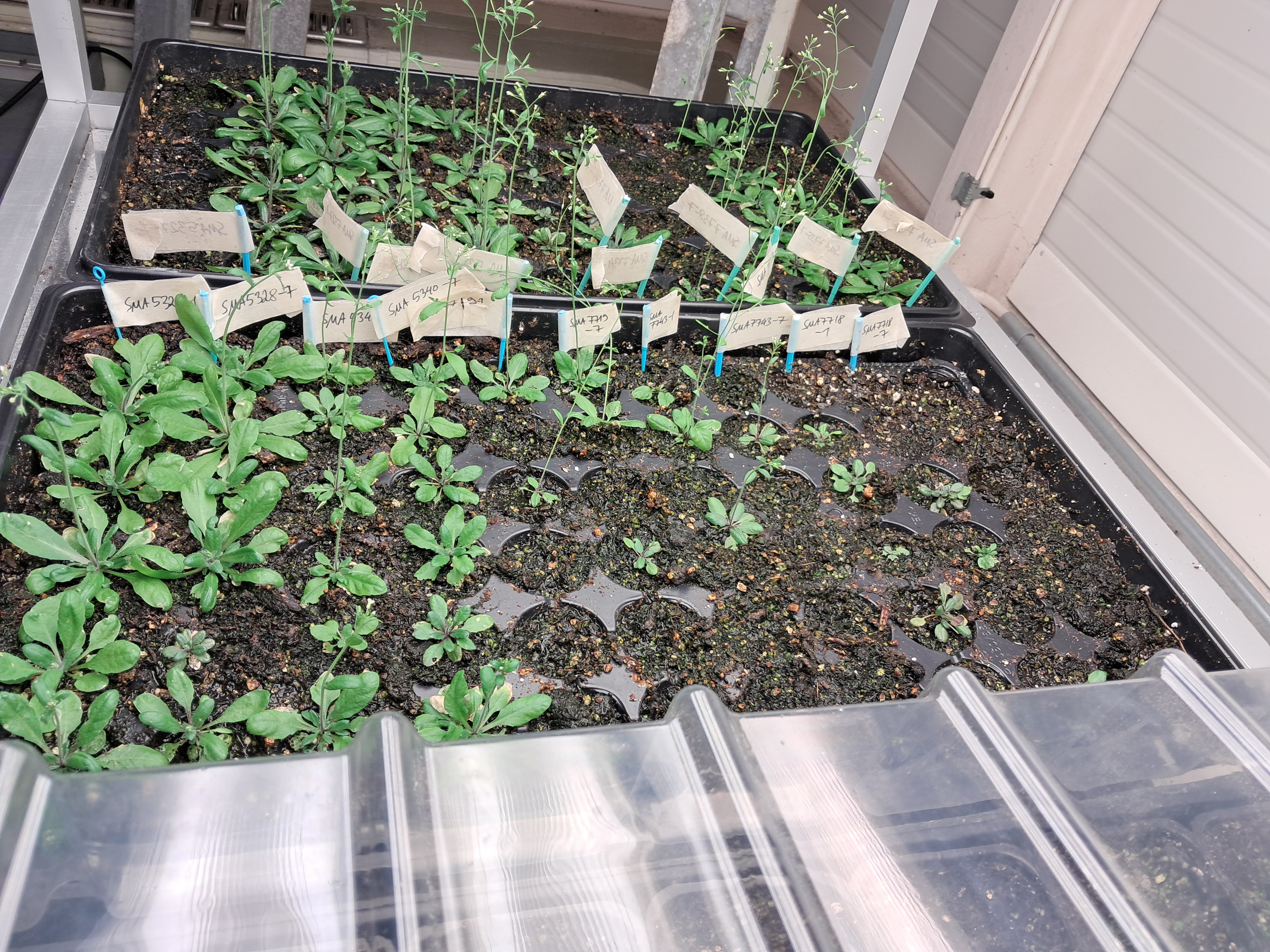 Student Research Projects | Marquardt Lab